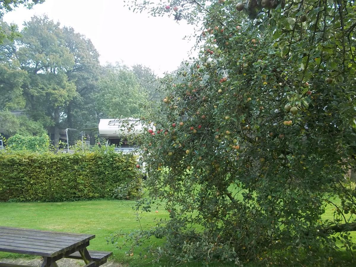 B&B Slaoperij Orvelte Esterno foto