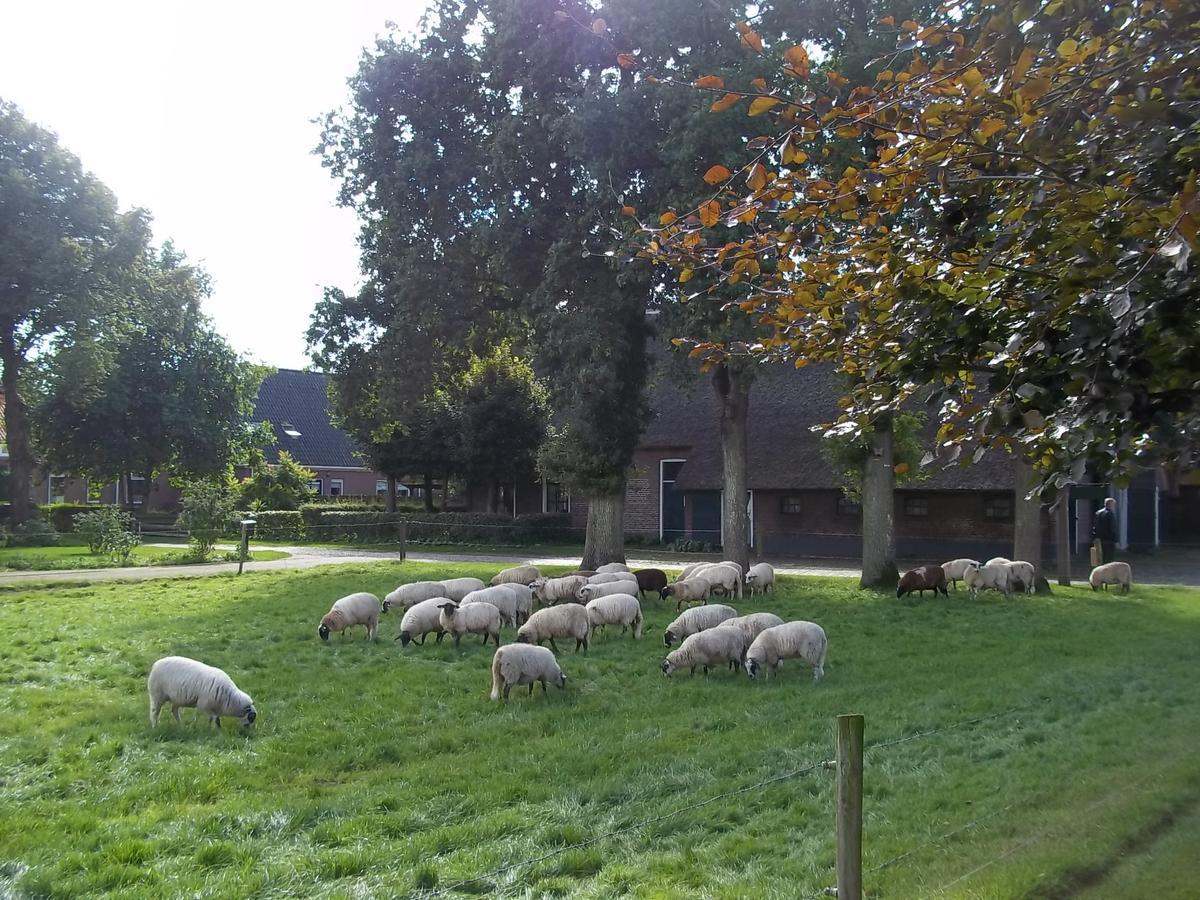 B&B Slaoperij Orvelte Esterno foto