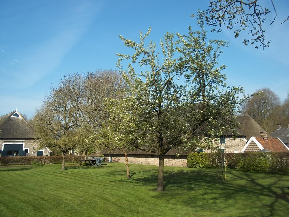 B&B Slaoperij Orvelte Esterno foto